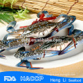 HL003 wholesale crabs of swimming crab